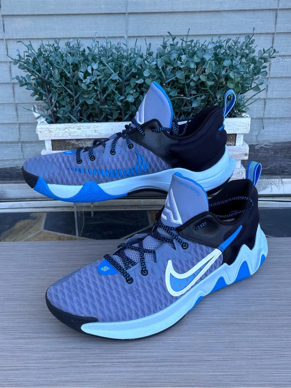 NIKE ‘Giannis Immortality’ Basketball Shoes